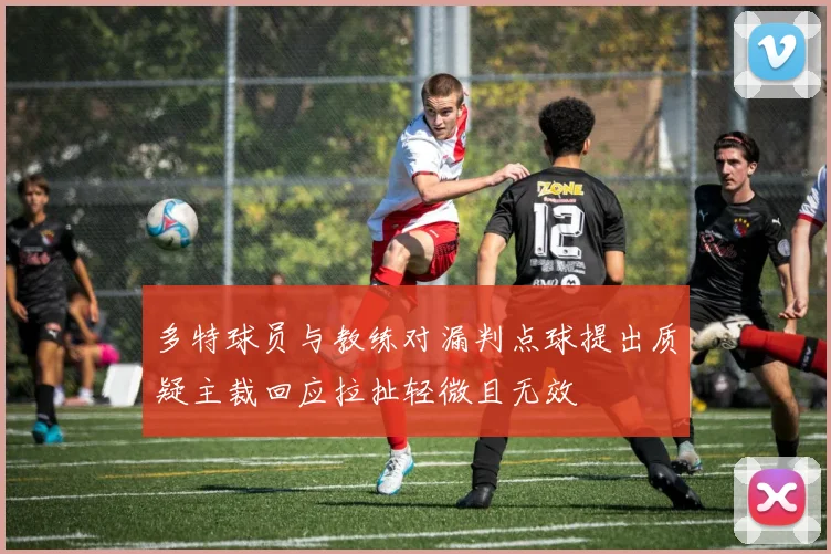 多特球员与教练对漏判点球提出质疑主裁回应拉扯轻微且无效