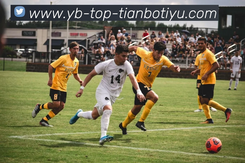 多媒体互动体验