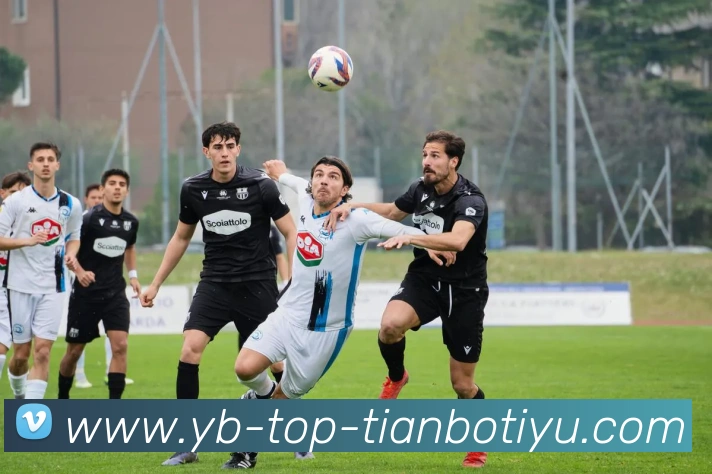 天博体育APP 高清赛事图